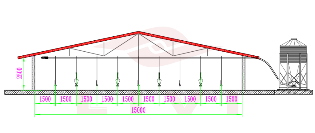 broiler ground raising design