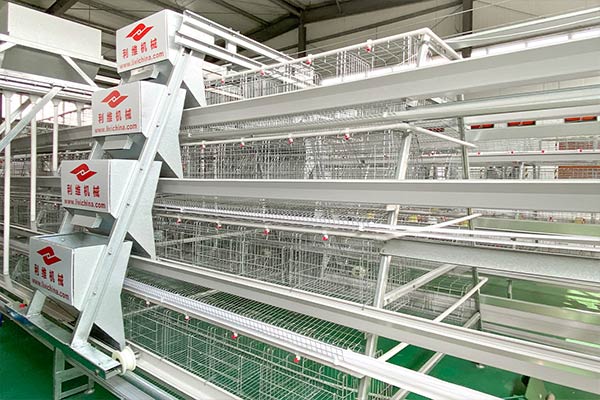 chicken battery cage