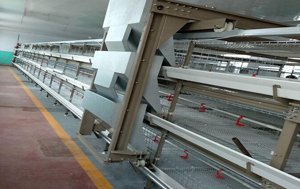 chicken battery cage