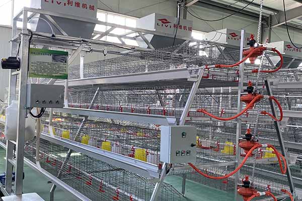 chicken battery cage