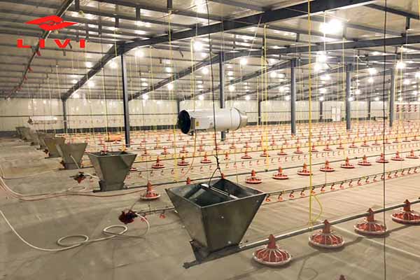 broiler floor raising system