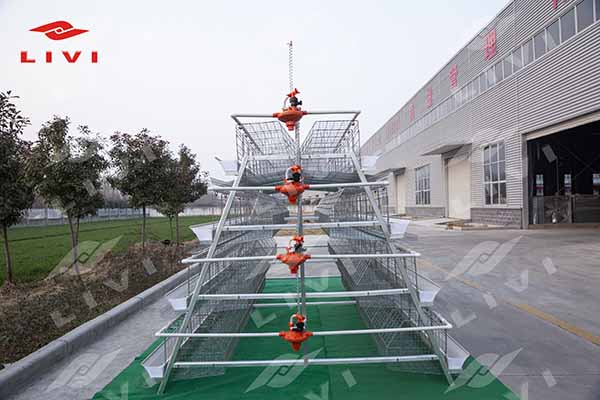 chicken battery cage