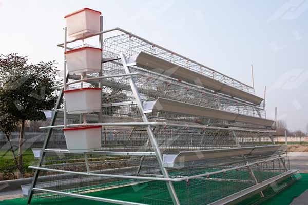 chicken battery cage