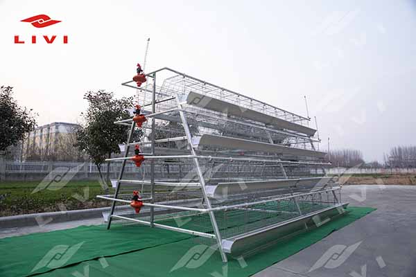 chicken battery cage