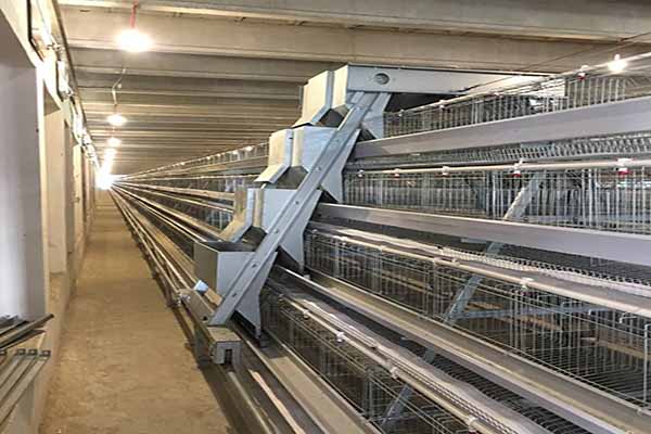 chicken battery cage
