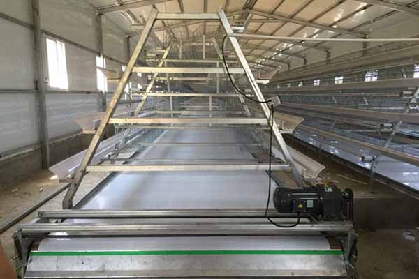 chicken manure removal equipment