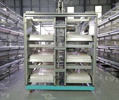 automatic chicken manure cleaning system