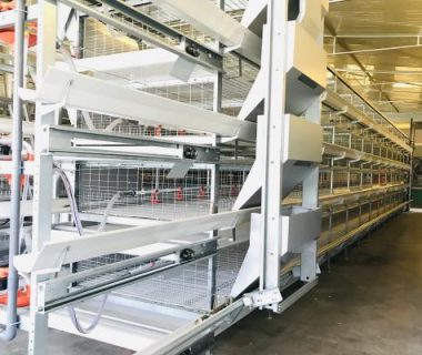 chicken battery cage