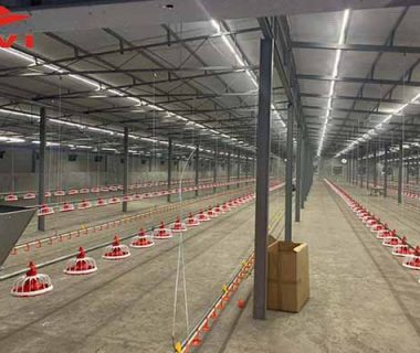broiler floor raising system