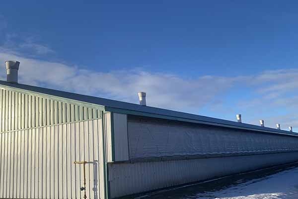 chicken farm solution