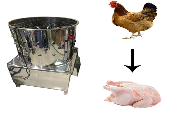 feather cleaning machine