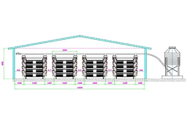 chicken house design