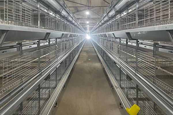 chicken battery cage