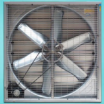 The Back Of Fan