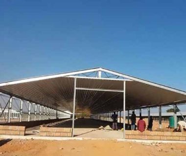 Raising Chickens Using Poultry Cage For Beginners