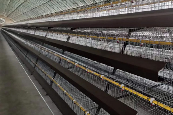poultry battery cage system
