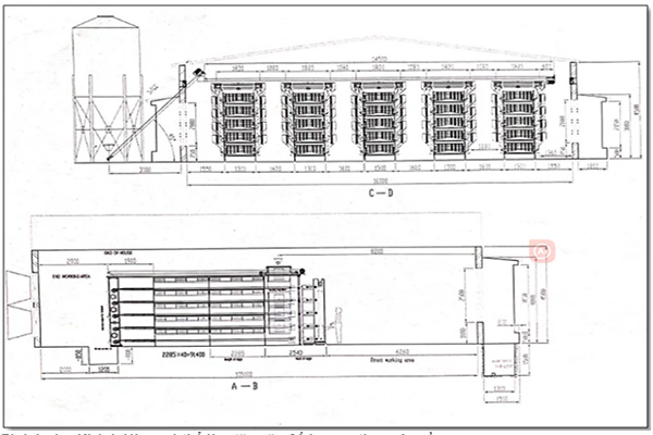 Design of 50000 Layers Chicken Battery Cage