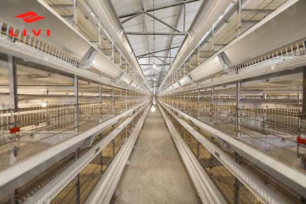 layer poultry house