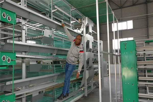 nigeria-customer-visit-livi-poultry-farming-cage
