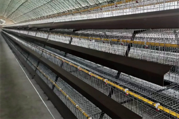 layer cage for sale