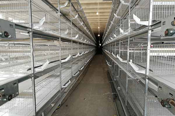 30000-layers-chicken-battery-cage-for-sale-in-philippines