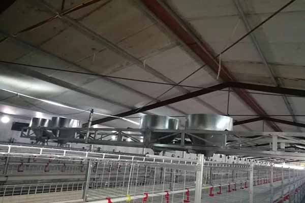 chicken farming equipment