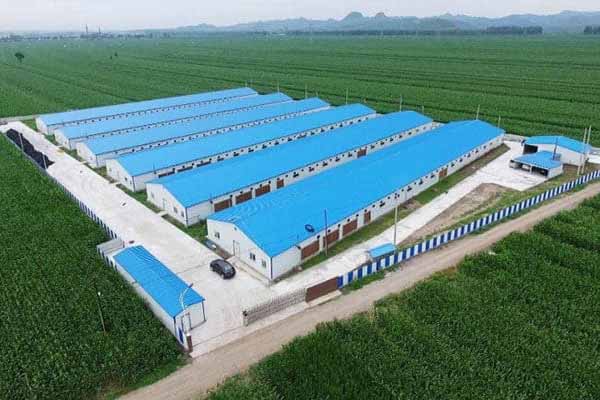 120000-layers-and-broilers-poultry-cages-for-sale-in-nigeria