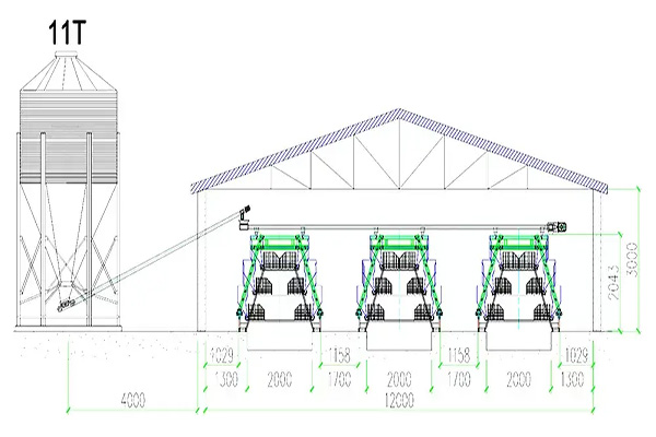 15000-layers-in-modern-poultry-house-design