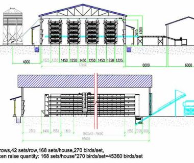 Chicken House Design Of 45000 Layers