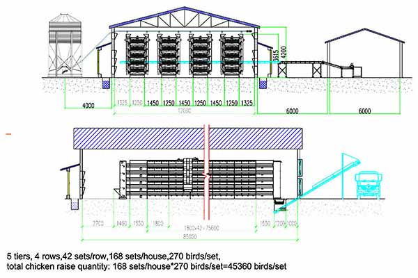 Chicken House Design Of 45000 Layers