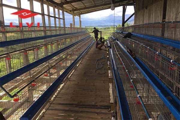 combat-heat-stress-in-poultry-farming-in-nigeria
