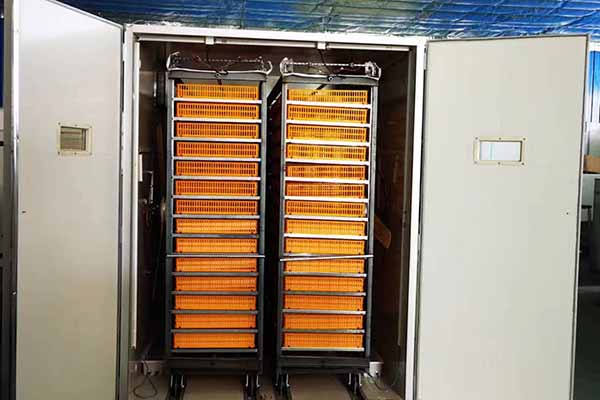 how-to-use-an-incubator-to-hatch-egg-1